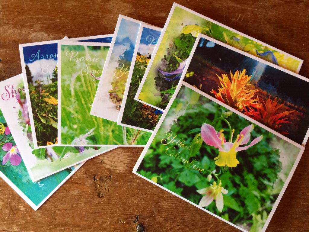 10 wildflower cards. Size: 5 x 7" with blank envelopes.